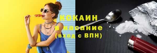 ГАЛЛЮЦИНОГЕННЫЕ ГРИБЫ Белокуриха