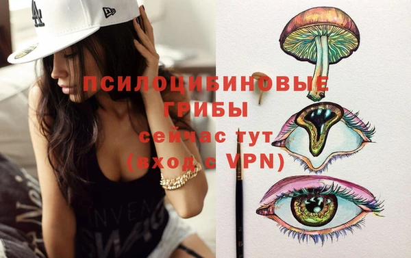 ГАЛЛЮЦИНОГЕННЫЕ ГРИБЫ Белокуриха