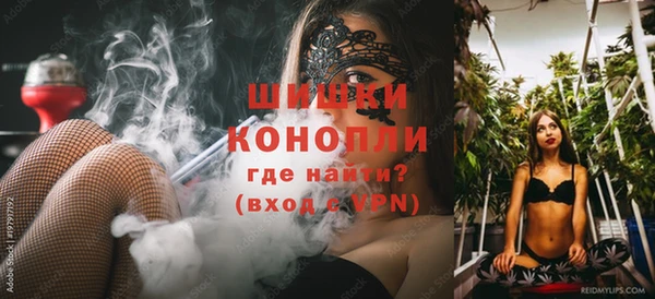 ГАЛЛЮЦИНОГЕННЫЕ ГРИБЫ Белокуриха