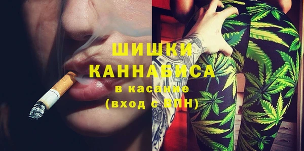 ГАЛЛЮЦИНОГЕННЫЕ ГРИБЫ Белокуриха
